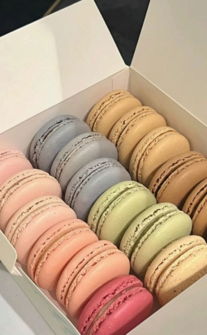 Gemini_Generated_Image_tjyduhtjyduhtjyd Macaron