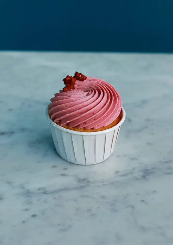 aviary-image-1673792062603-scaled-1 cup cakes